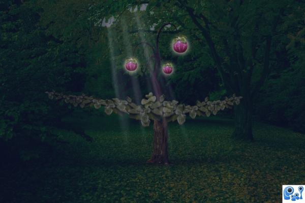 Fantasy Tree